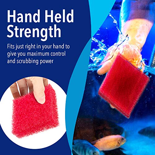 Evergreen Pet Supplies Aquarium Glass Cleaner Sponge - Non-Scratch Aquarium Glass Scrubber - Durable Tank Sponge Cleaner - Ergonomic Fish Tank Pad - Pack of 4, Red, 3.25 in x 3.25 in x 1 in