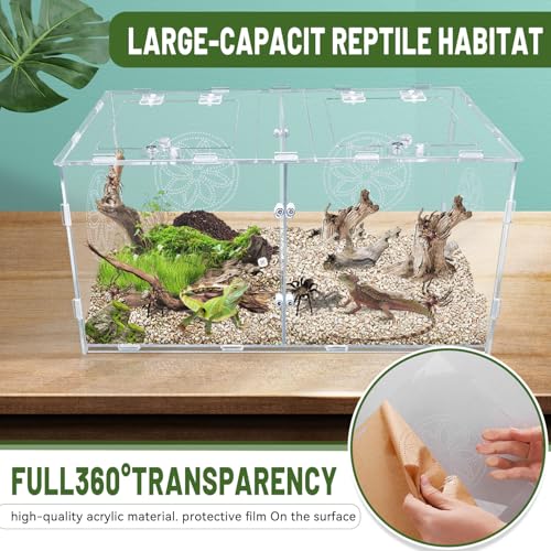 Large Jumping Spider Enclosure, 15.75*7.87*9.84in Acrylic Tarantula Enclosure, Reptile Enclosure for Small Tree Dwelling Reptiles, Amphibians and Invertebrates, Insect Terrarium with Locking Latch