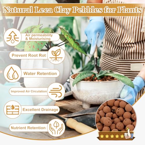 16LB Organic Leca Clay Pebbles for Plants, 4-16mm Natural Leca Ball | Reusable, Drainage, Aeration, Moisture Retention, Hydroponic, Lightweight for Orchids, Succulents, Terrarium, Indoor Plants - size: 16LB