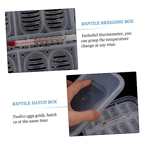 Egg Incubator Box Compartment Reptile Hatchery Breeding for Snakes Lizards Safe Eco-Friendly