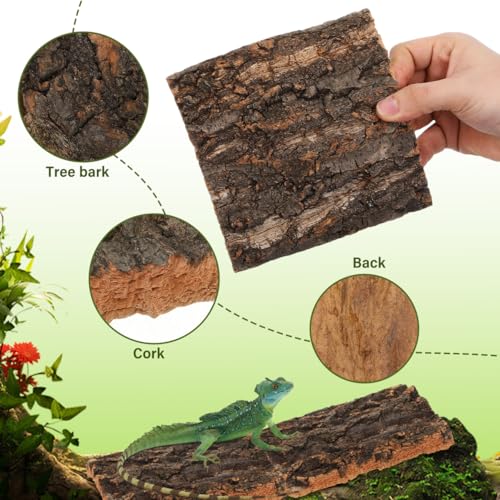 Garneck 5Pcs Reptile Terrarium Cork Bark Background - Natural Cork Wood for Reptile Tank Decor - Vivarium and Gecko Enclosure Background with Climbing and Hiding Features
