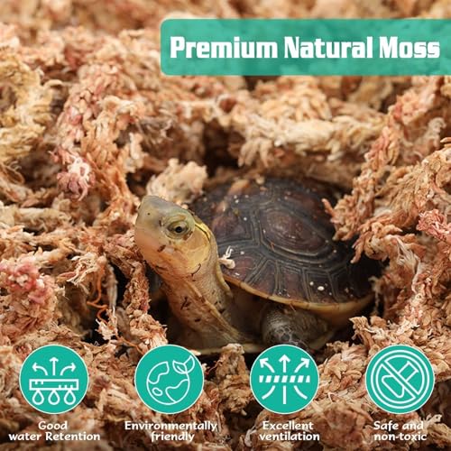 1.1 lb Sphagnum Moss for Plants Indoor, Natural Long Fiber Sphagnum Orchid Moss Bulk for Carnivorous Plants, Succulents, Monstera, Flower & Reptile Terrariums Habitats (Expands to 25 qt) - size: 1.1 pounds