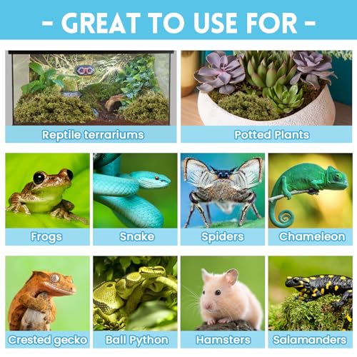 Riare 7 OZ Natural Sphagnum Moss for Reptiles, Terrarium Substrate Bedding | 6QT High Expansion, Moisture Retention, Helps Shedding, Long Fibered Dried Moss for Leopard Gecko, Snake, Frog, Turtle - color: 7 OZ