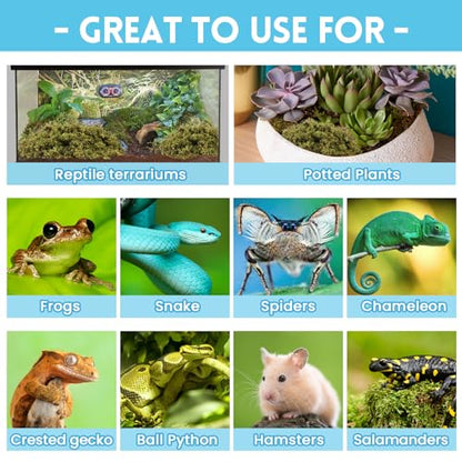 Riare 7 OZ Natural Sphagnum Moss for Reptiles, Terrarium Substrate Bedding | 6QT High Expansion, Moisture Retention, Helps Shedding, Long Fibered Dried Moss for Leopard Gecko, Snake, Frog, Turtle - color: 7 OZ