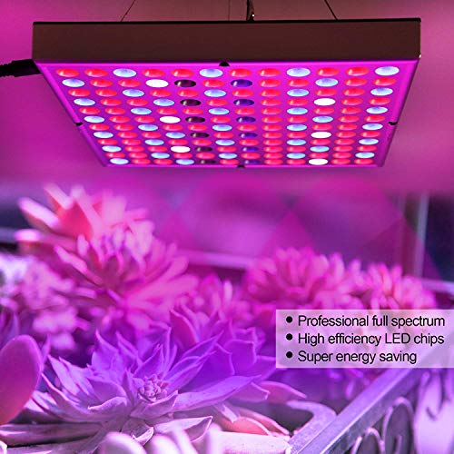 LED Grow Lights for Indoor Plants, Panel Plant Light Full Spectrum with IR & UV Bulbs for Seedlings,Micro Greens,Clones,Succulents (Size:9.9x9.9inches) - size: 9.9 x 9.9 inches