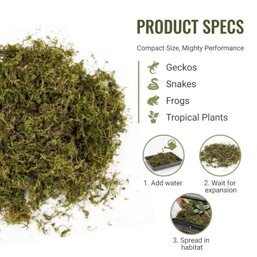 RAINFLOW Sphagnum Moss for Reptiles - 5 Oz Terrarium Reptiles Moss Green Dried Peat Moss Habitat Bedding Moss for Leopard Gecko Turtle Frog Snakes Lizards