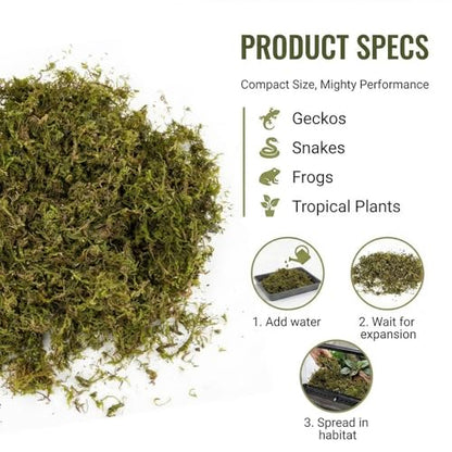 RAINFLOW Sphagnum Moss for Reptiles - 5 Oz Terrarium Reptiles Moss Green Dried Peat Moss Habitat Bedding Moss for Leopard Gecko Turtle Frog Snakes Lizards