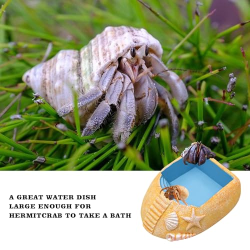 Hermit Crab Water Pool with Climbing Ramp, Resin Hermit Crab Habitat, Hermit Crab Supplies, Aquarium Tank Cage Accessories for Small to Medium Hermit Crab Turtle