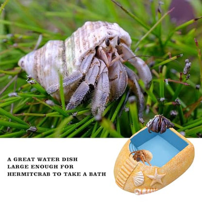 Hermit Crab Water Pool with Climbing Ramp, Resin Hermit Crab Habitat, Hermit Crab Supplies, Aquarium Tank Cage Accessories for Small to Medium Hermit Crab Turtle