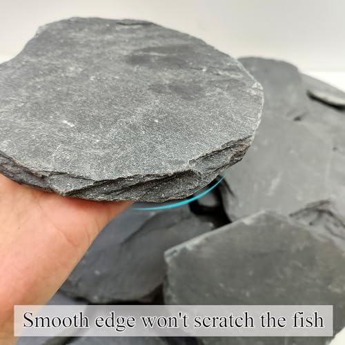 Slate Rock for Aquarium, 5-7 Inch Polished Natural Stone Rocks 20 lbs | Fish Tank Decor, Aquascaping Rocks, Safe for Aquariums, Terrariums - color: 20 lbs, size: 5-7 Inch