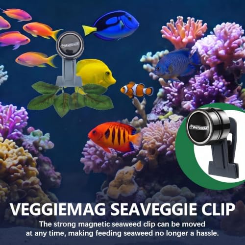 Blulu 2 Pcs Magnetic Seaweed Feeding Clips Saltwater Aquarium Tank Accessories Algae Magnet Seaweed Feeder for Fish and Aquatic Pets, Automatic Fish Feeder