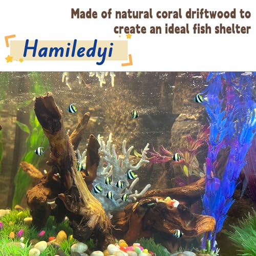 Hamiledyi 5PCS Driftwood for Aquarium 3.5-7in Drift Wood Branches Betta Fish Tank Decor Accessories - size: Mopani driftwood 3.5-7in 5PCS