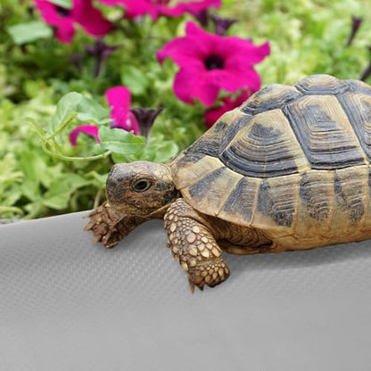 Reptile Terrarium Carpet EVA Mat Soft Breathable Flooring for Snake Tortoise Lizard Bearded Dragon Tank Bedding Liner with Tailored Gray