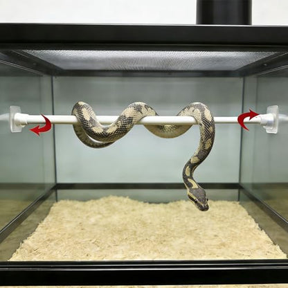 6 Pcs Terrarium Snake Branches, Branch Supports with Suction Cup for Snake Ball Python, Frog, Gecko, Jumping Spider Climbing