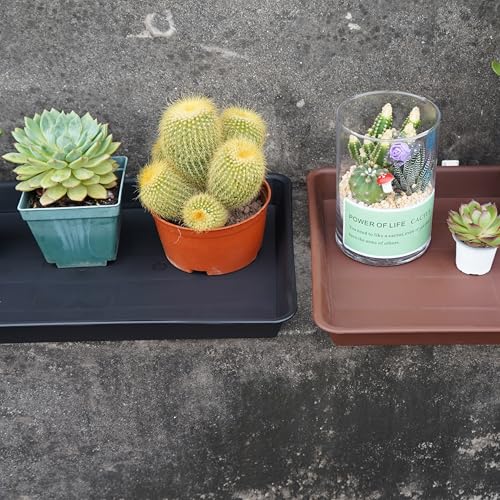 VUWEZ Plant Saucer Growing Trays, Seed Starter Tray, 14"x11", Heavy Sturdy Plastic Microgreens Saucers, Propagation Saucer Rectangular, Humidity Trays, Seedling Seed Starter Growing Tray - color: Black, size: 14.5'' x 11'' x 1.5'' (1 pack)