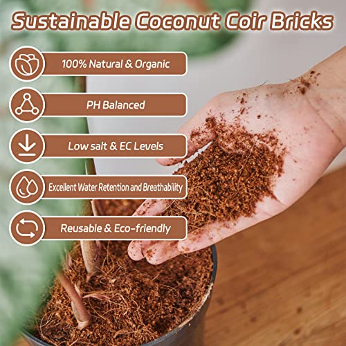 Riare 10pcs Organic Coco Coir Bricks, Natural Coconut Coir for Plants | High Expansion & Moisture Retention Coconut Husk Fiber for Seed Starting, Potting Mix, Composting, Soil Amendment & Reptiles - color: Pack of 10