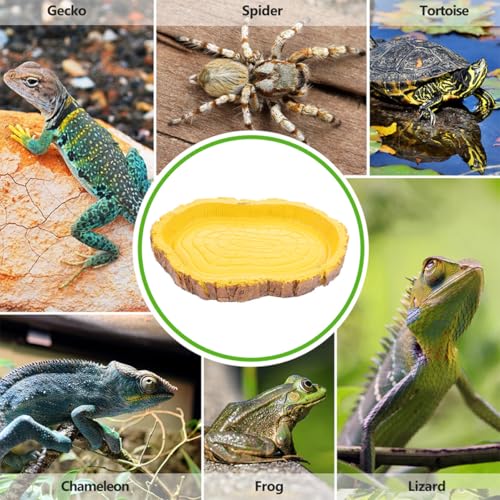 Sosoport 2pcs Resin Reptile Food Feeding Container and Tortoise Water Dish for Terrarium, Multifunctional Pet Food Storage Basin Suitable for Lizards, Tortoises, and Small Crawling Pets