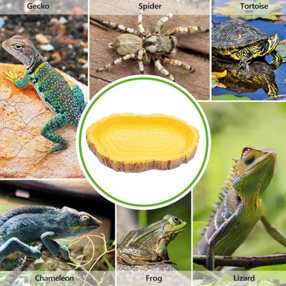Sosoport 2pcs Resin Reptile Food Feeding Container and Tortoise Water Dish for Terrarium, Multifunctional Pet Food Storage Basin Suitable for Lizards, Tortoises, and Small Crawling Pets