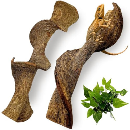 BNOSDM 2Pcs Reptile Climbing Branches Decor,2.5-3.25" Think Snake Climbing Branch,Gecko Climb Wood,Lizard Bold Forest Branch,Tank Habitat Tree Trunk Decorations for Bearded Dragons,Chameleons,Frogs - size: 2PCS|XL:2.50-3.25"D,13"L