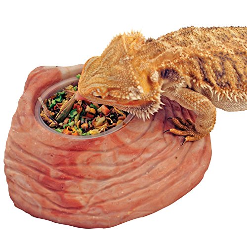 Healthy Herp Adult Bearded Dragon Food Instant Meal Reptiles-14 Cups&1 Dish | Bearded Dragon Tank Accessories - Made in USA - for Box Turtles, Lizards, Tortoises - Variety Pack