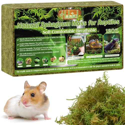 Halatool 12 OZ Sphagnum Moss for Reptiles - Green Terrarium Moss | Expands to 18 QT, Reptile Bedding for Snakes, Tortoises, Geckos & Lizards, Humidity Retention & Temperature Buffering - size: 12OZ