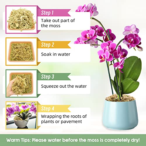 4.4LB Sphagnum Moss for Plants- 80QT Natural Long Fibers Orchid Moss | Moisture Retention & Drainage Balance, Plant Moss for Orchids, Succulents, Carnivorous, Ferns, Reptile Bedding & Terrariums - size: 80 QT(4.4 lb)