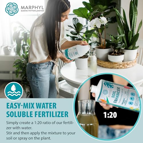 MARPHYL All-Purpose Plant Food – Organic Nutrient-Rich Fertilizer & Soil Enhancer for Indoor & Outdoor Flowers, Vegetables, Succulents, Bamboo & Hydroponics - size: 33.8 oz