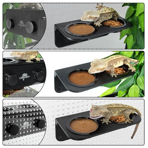 Magnetic Gecko Feeding Ledge, ABS Foldable Reptile Feeder Ledge with 6pcs Plastics Cups, 2 in 1 Reptile Food Water Dish, Terrarium Bowl for Chameleon Iguana, Strong Magnets, Easy to Clean