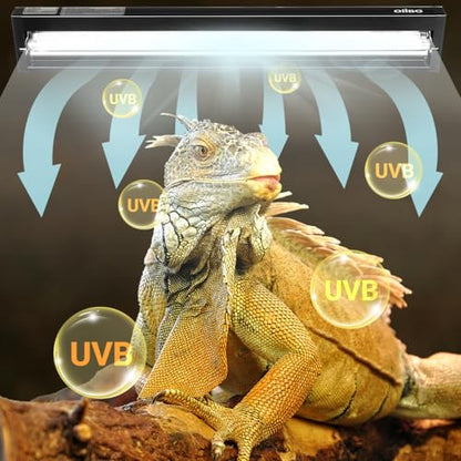 T5 HO Reptile Light Fixture UVB Lighting Combo Kit, Reptiles Terrarium Lamp Hood Light Fixture Include UVB 10.0 Desert Reptile Light for Bearded Dragon Gecko Lizard (24W) - size: 24 Watts