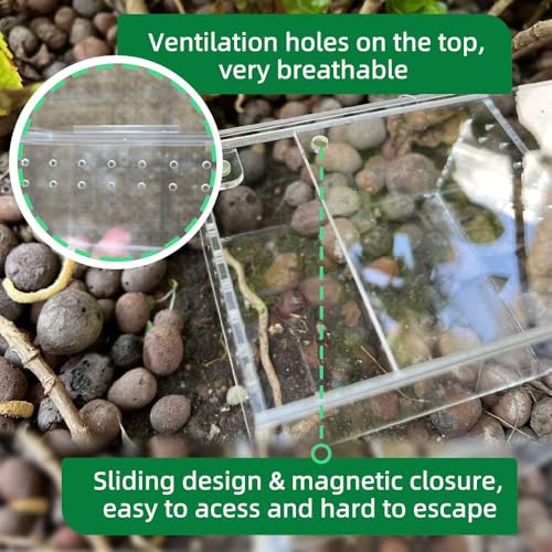 Small Acrylic Reptile Enclosure, No Assembly Small Reptile Breeding Box for Insect Tarantula Hermit Crab Jumping Spider (4x3.3X2.5 in) - size: 4x3.3X2.5 in