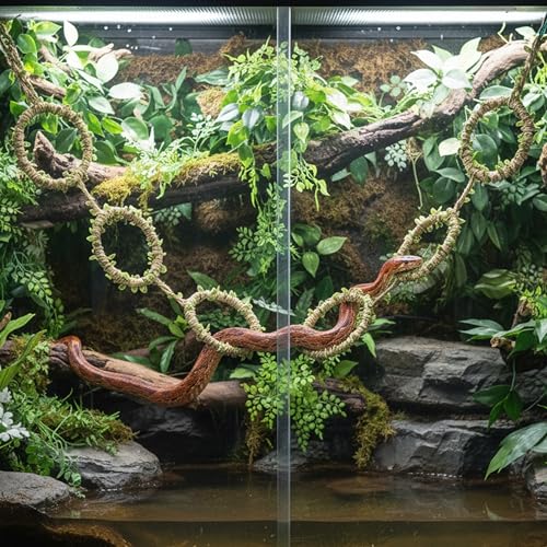 Snake Climbing Rings for Ball Python & Corn Snake, Reptile Toys | Enrichment Pet Toys & Tank Cage Decor, Habitat Accessories for Terrarium, Bearded Dragon, Chameleon, Lizard & Parrot