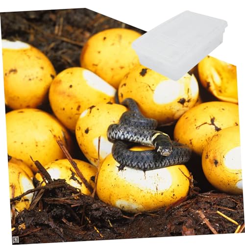 YARNOW 20Grids Plastic Reptile Hatching Incubation Box Lightweight Compact Hatchery Container for Lizard Reptile Breeding Safe Visible Design for Easy Monitoring of Egg Development