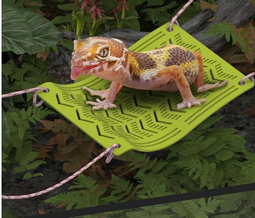 2 in1 Bearded Dragon Hammock with Suction Cups, Plastic Frog Lizard Hammocks, Hanging Swing Cradle for Chameleon, Lizards, Geckos, Snakes, Lguana, Reptile & Amphibian Habitat Décor (Green, Large) - size: Large