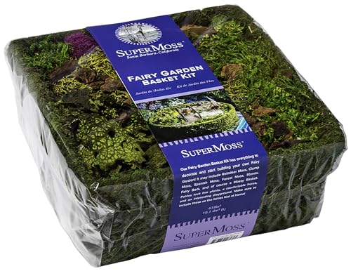 SuperMoss (50362) Fairy Garden Kit | Miniature Moss Basket with Fairy Garden Accessories, and Liner | DIY Craft Kit for Kids, Indoor & Outdoor Garden Decor, Miniatures, and Home Decoration, 10” Basket