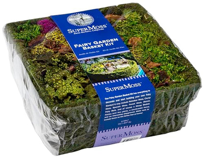 SuperMoss (50362) Fairy Garden Kit | Miniature Moss Basket with Fairy Garden Accessories, and Liner | DIY Craft Kit for Kids, Indoor & Outdoor Garden Decor, Miniatures, and Home Decoration, 10” Basket