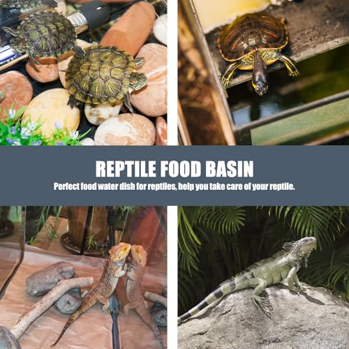 Toddmomy Reptile Food Bowl and Stable Lizard Feeder Set, Plastic Escape Proof Worm Container, Large Capacity Feeding Bowls for Crawling Pets in Terrariums
