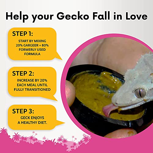Gargeer 8oz Gentle Geck Breeder Diet - Crested Gecko Food. Made in USA | Expert-crafted superfood! Loaded with organic mango, banana, insect proteins & probiotics. No soy, wheat, or cheap fillers - size: 8 Ounce (Pack of 1)