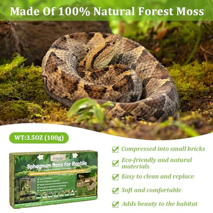 3.5OZ Natural Sphagnum Moss for Reptile Terrarium Substrate Bedding | 4QT High Expansion, Moisture Retention, Helps Shedding, Long Fibers Dried Moss for Leopard Gecko, Snake, Frog, Turtle - size: 3.5 OZ
