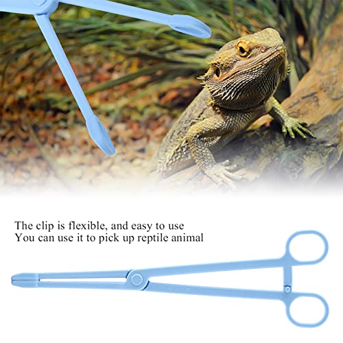 Reptile Feeding Tongs Blue Plastic Snake Lizard Clamps 24.5cm Wide Grip Safe Handling Tool for Pet Owners Breeders Amphibian Terrarium Enthusiasts