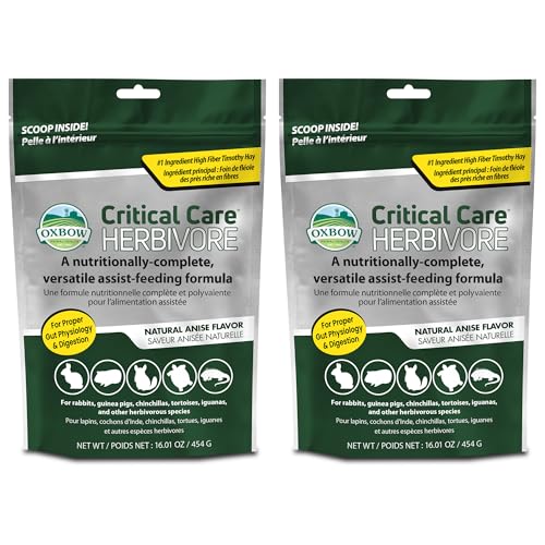 Oxbow Critical Care Herbivore Small Pet Formula, Anise, 454g, Pack of 2 | Recovery feeding support, high-fiber timothy hay, for rabbits & guinea pigs, vet recommended emergency nutrition