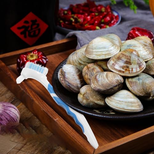 2pcs Double-Head Mini Turtle Shell Cleaning Brush Mud Remover Portable Aquatic Tortoise Shell Maintenance Tool for Household Reptile Health