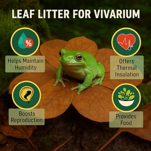 Frog Tank Accessories – 100 Pcs 3" Indian Almond Catappa Leaves, Natural Leaf Litter for Tree Frogs, Bioactive Terrarium Accessories, Amphibian Habitat Decor