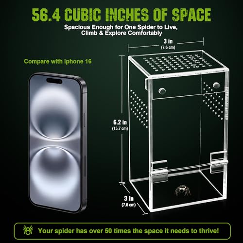 Jumping Spider Enclosure Kit – Escape-Proof Terrarium for Jumping Spiders | 3"x3"x6.2" Complete Habitat with Spider Cage, Plants, Moss, and Accessories – Ideal Starter Kit