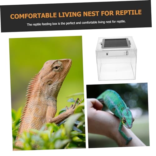 Breathable Reptile Feeding Box Lightweight Breeding Container with Ventilation for Safe Transport of Geckos Snakes and Small Pets