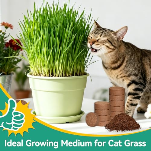 Coco Coir Pellets, 50 Pcs 50mm Seed Starter Soil Pods for Planting | Low EC & pH Balanced, Organic Coconut Coir Potting Soil for Indoor Outdoor Plants Herbs Houseplants Bonsai Vegetables Flowers - size: 50mm