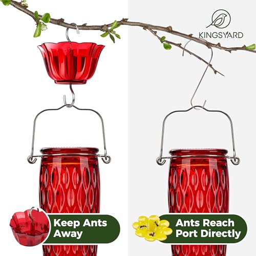 Kingsyard Glass Hummingbird Feeder for Outdoors with Ant Moat | 24 oz, Wide-Mouth Opening, 6 Metal Feeding Ports, Bee Guard, Easy to Clean & Refill Nectar, 360 Degree Perch, Red - color: Red