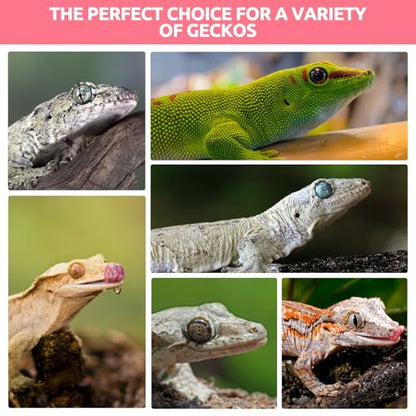 Gecko Food, Fruit Mix Insects Gecko Diet with Watermelon 2 oz