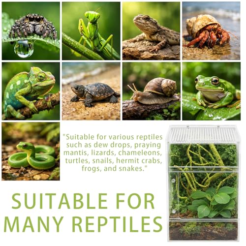 Jumping Spider Enclosure Kit, Waterproof Clear Acrylic Spider Terrarium, Front Opening + Top Access, Ventilated Insect Habitat with Moss Vine, Green Plant, 2 Moss Packs & Invisible Line (6-Piece Set)