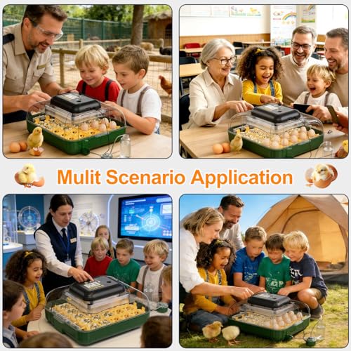 25 Egg Incubator for Hatching Eggs with Automatic Egg Turning, Temperature & Humidity Display, Hatch Day Countdown, Auto Water Refilling System, Egg Candler, Multifunctional Egg Tray for Chicken - size: M- 25 Chicken Eggs