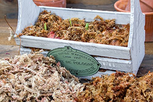 SuperMoss (22301) Orchid Sphagnum Moss Dried, Natural, 8oz - size: 0.5 lbs, style: Bag (326 cu. in.)